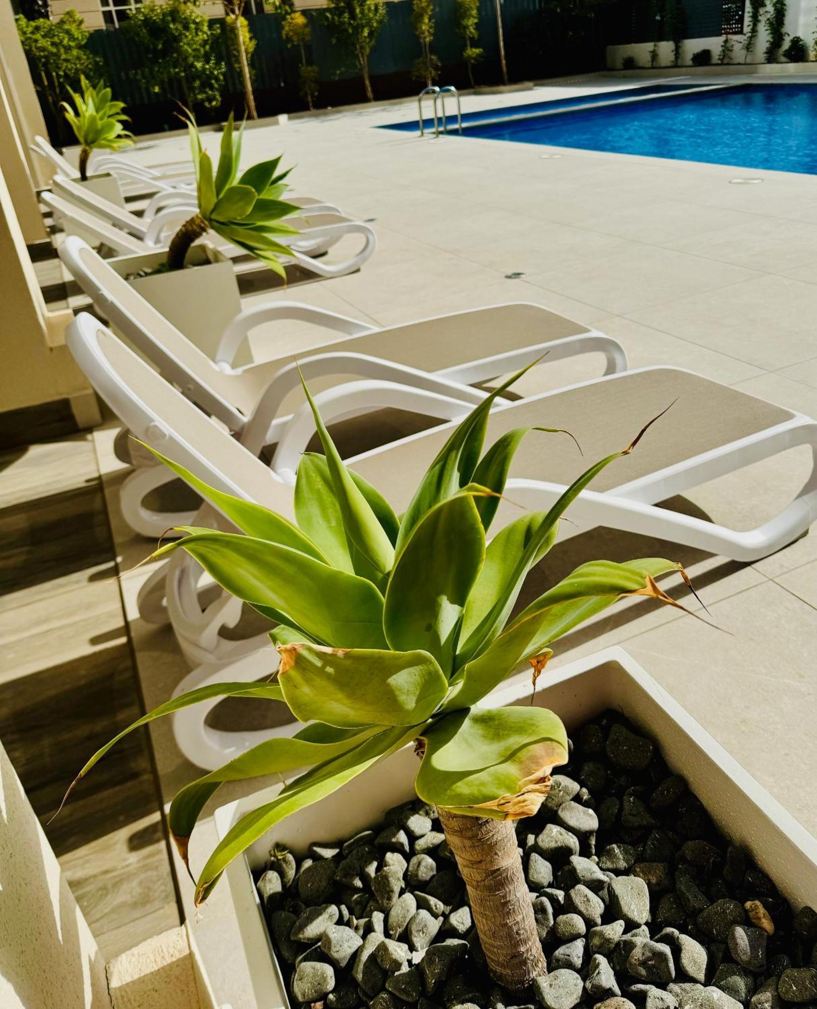Calpe Beach II - Sea & Pool View Apartment Ngoại thất bức ảnh